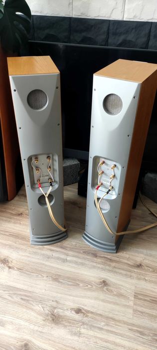 Audiovector Mi3 Signature SE  / Świetny sprzęt !