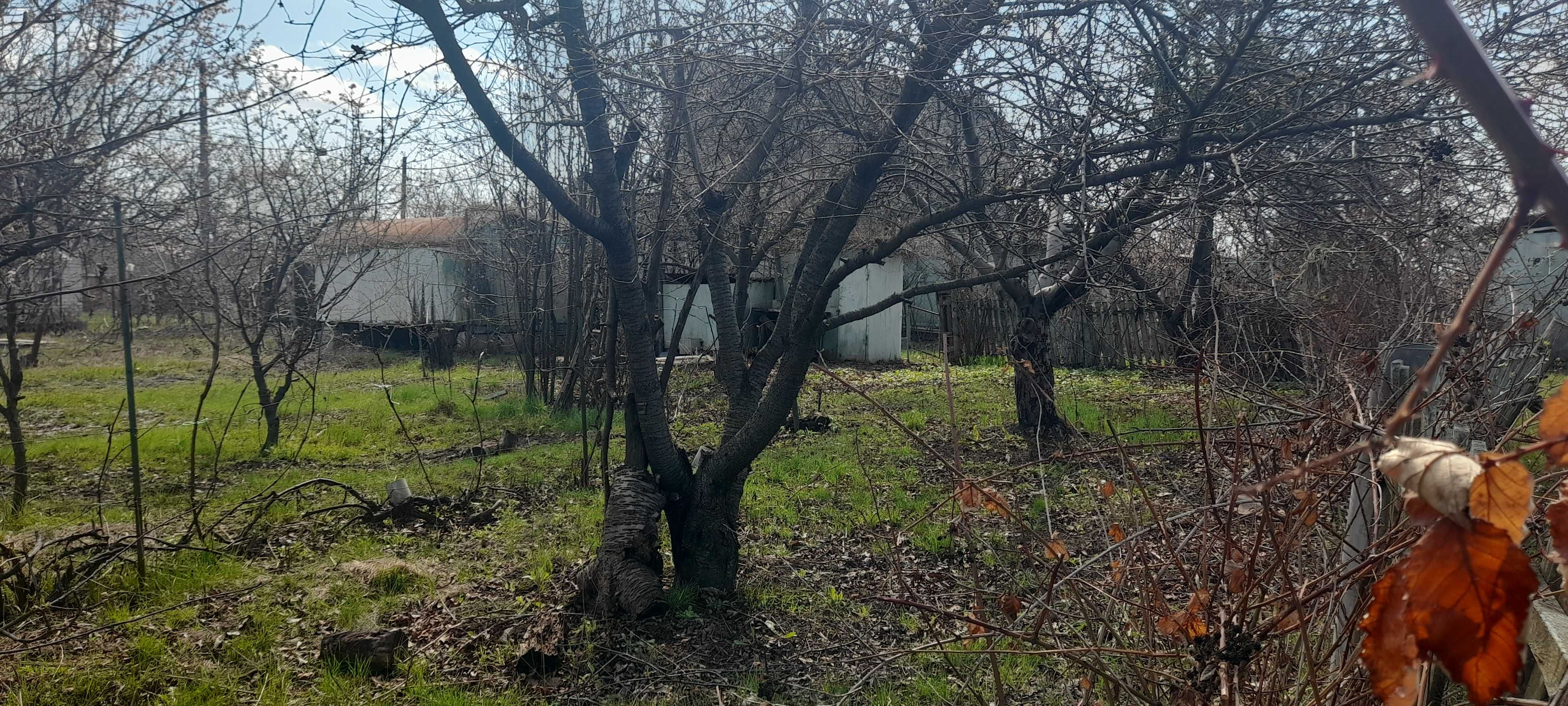Продам дачу п. Покотиловка