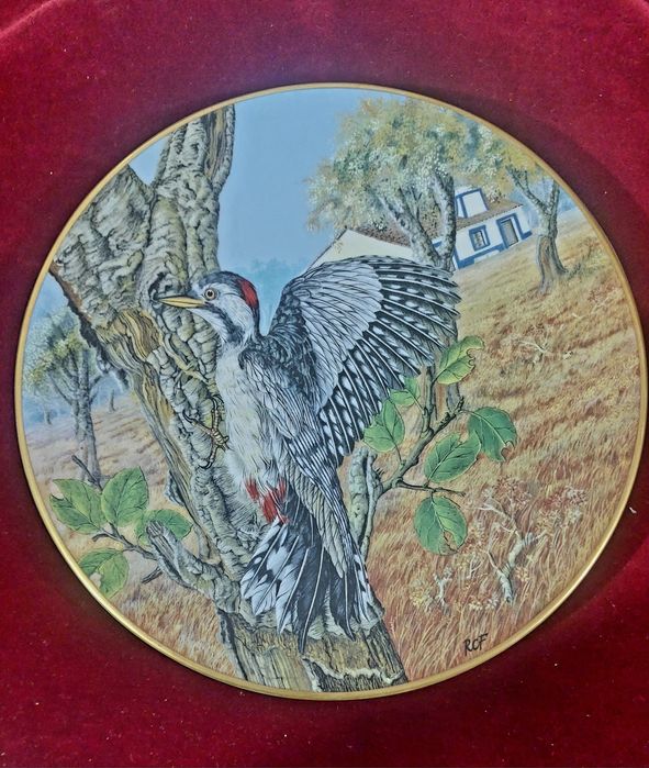 Pratos Decorativos Os Mensageiros Das 4 Estacoes