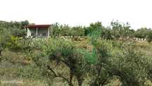 Terreno Rústico "Santo António", Souto, Penedono