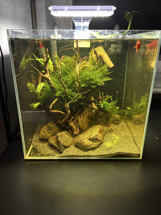 Zestaw akwariystyczny