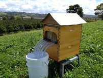 Flow Hive купить в Украине