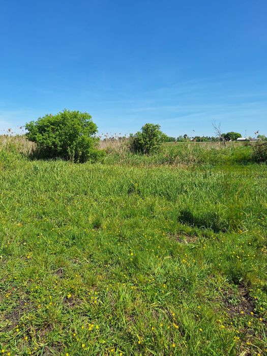 Działka Łąka Pastwisko Ortel Książęcy