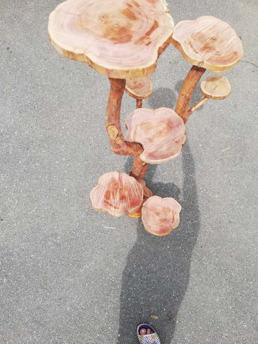 Ręcznie robiony drapak dla kota z naturalnego drewna śliwkowego