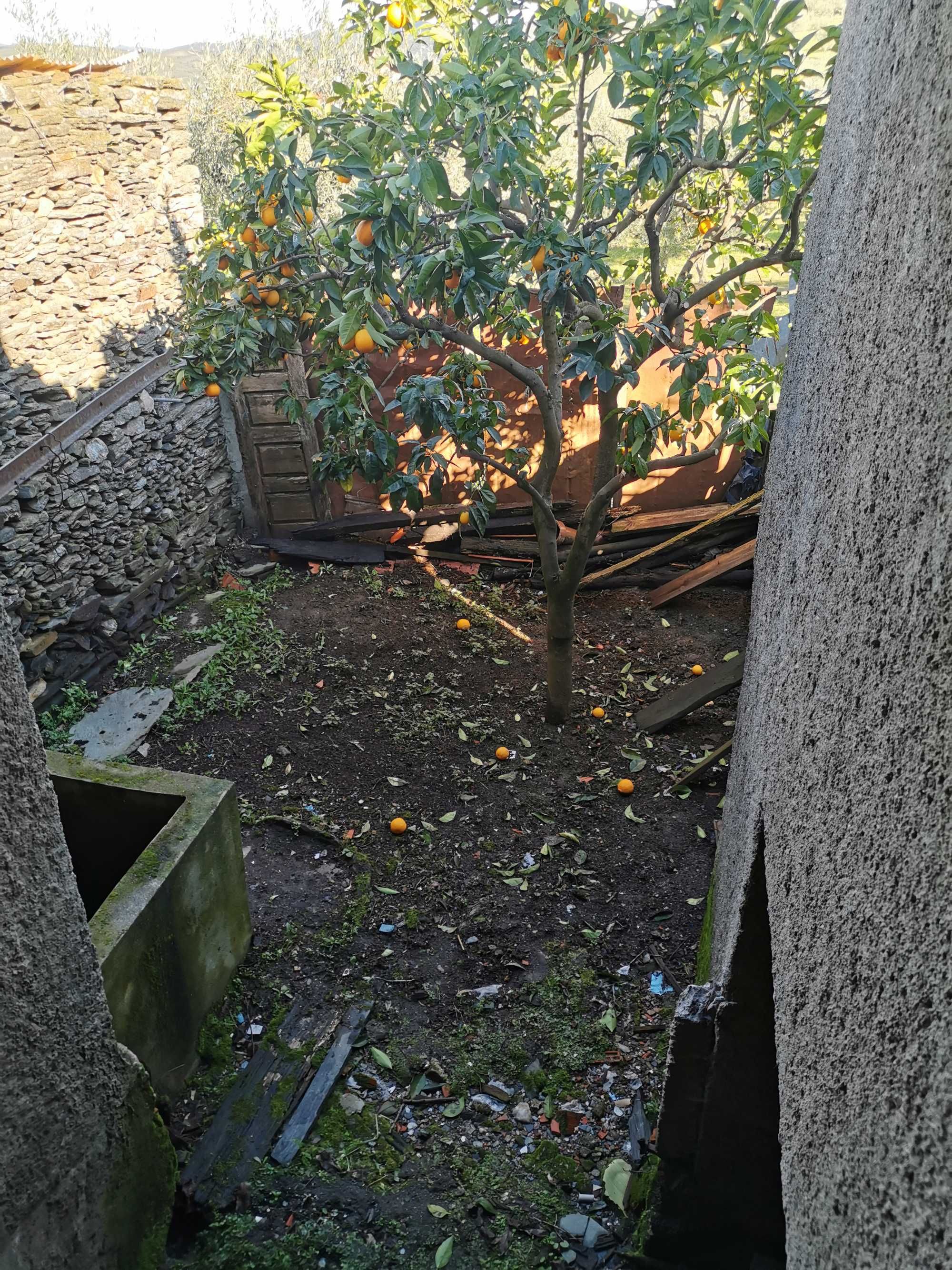 Casa à venda no centro da aldeia Valongo dos Azeites.