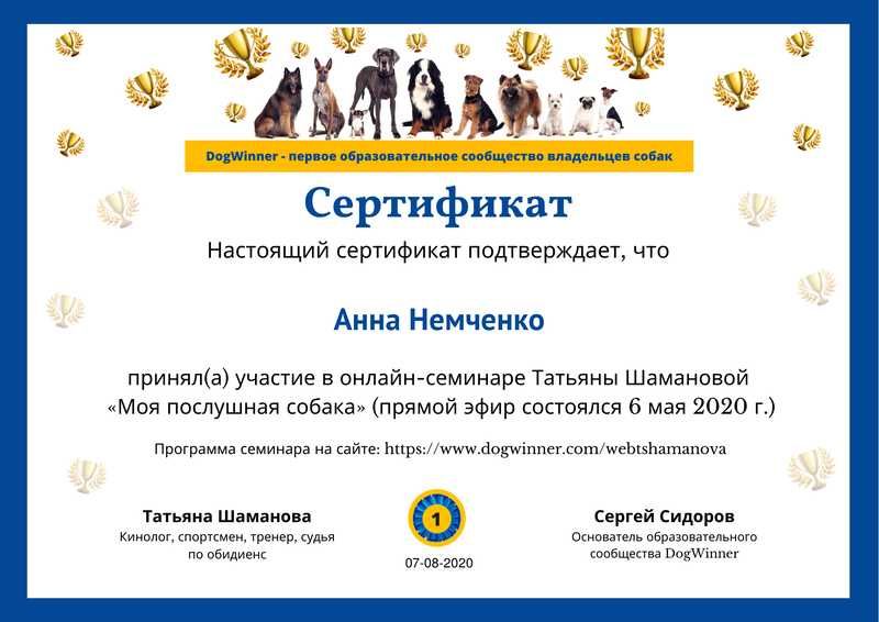 Дресирування Школа цуценя. Зоопсихолог. Свій зал!