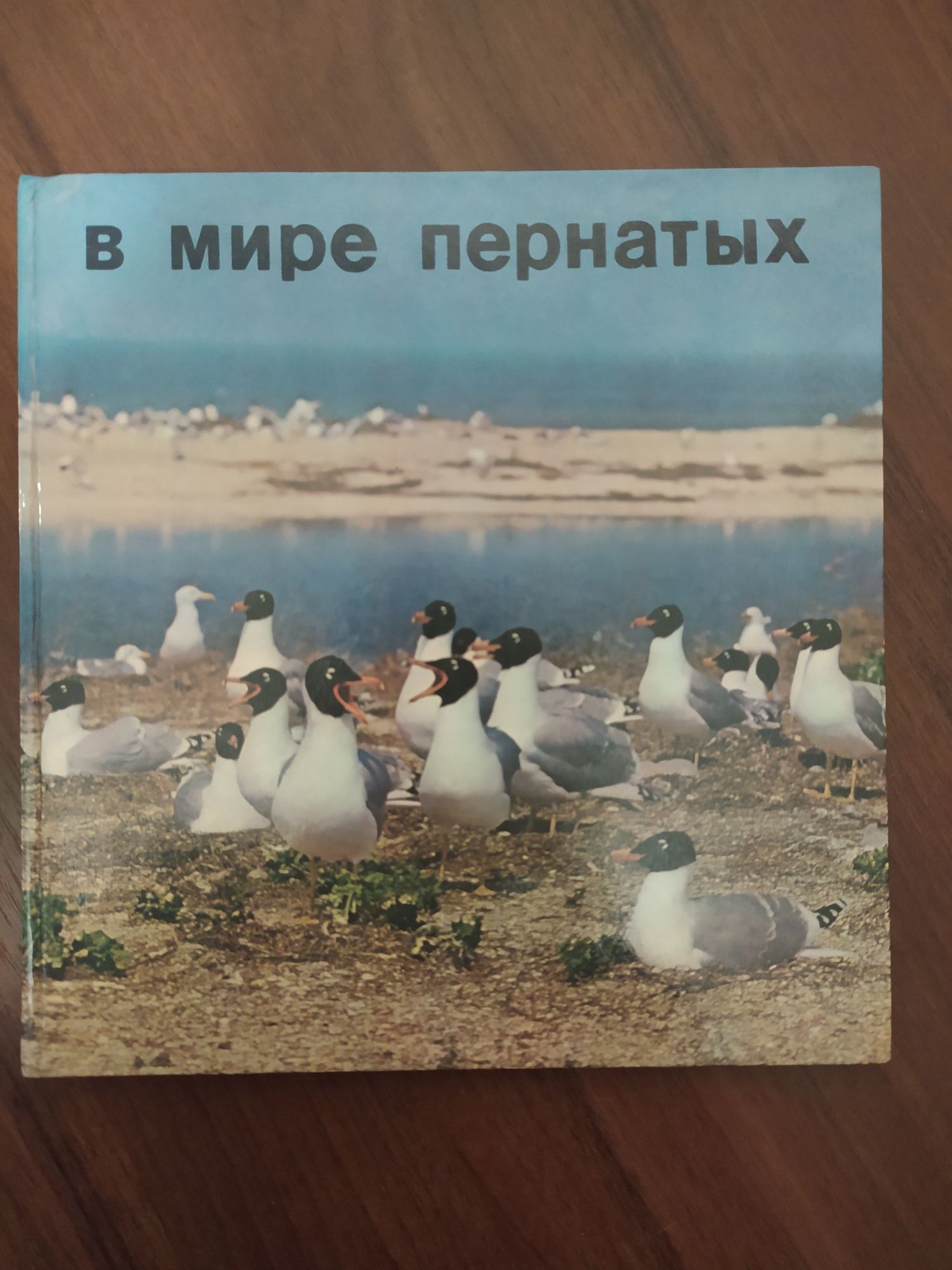 В мире пернатых книга