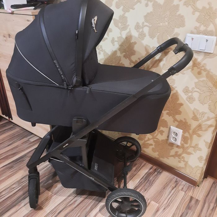 Коляска Carello Alfa 2 B 1