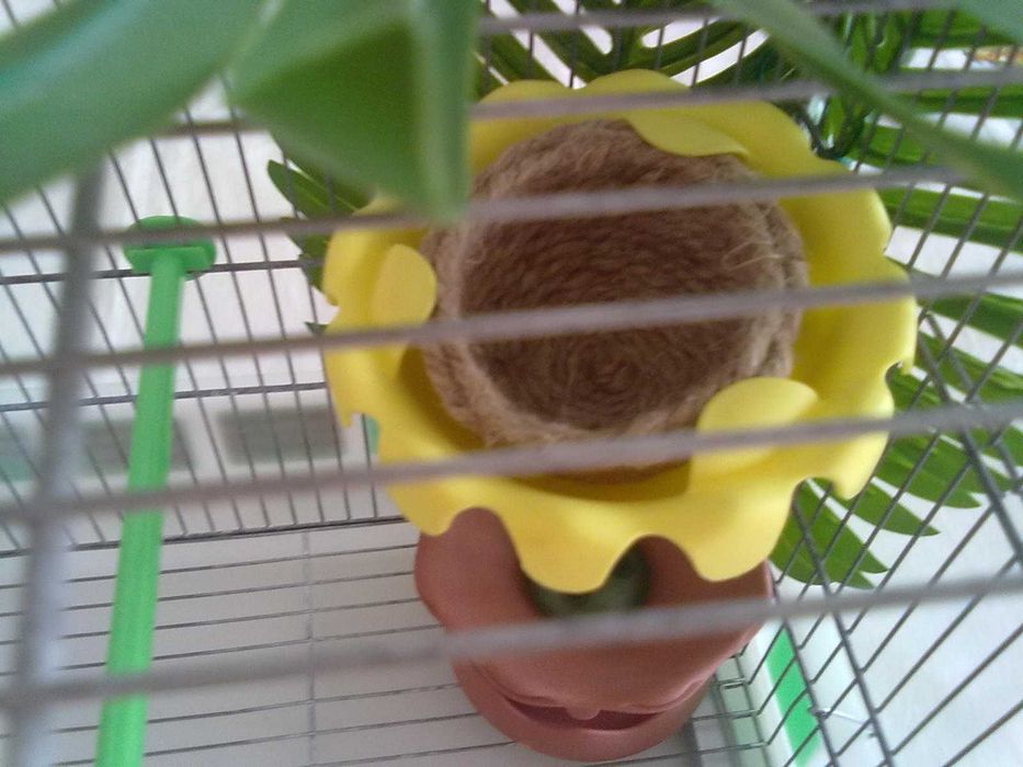 Viveiro de criação completo