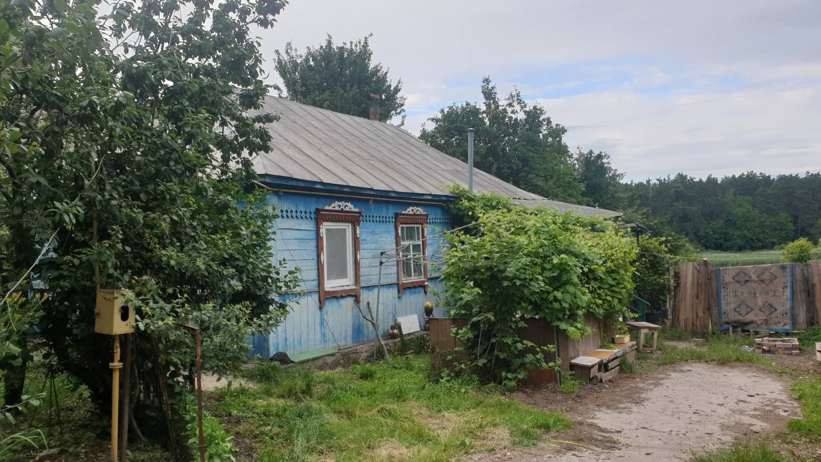 Продам дом в селе Ясногородка (Фастовський район)