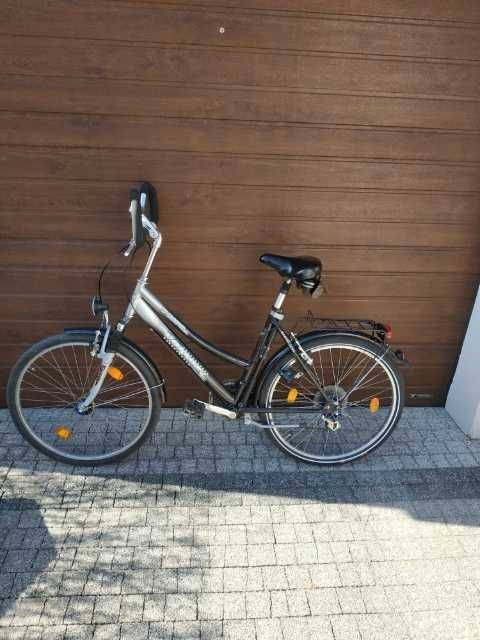 Piękna zadbana damka młodzieżowa