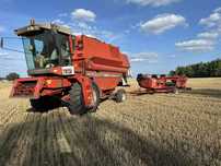 Massey Ferguson 34! Klimatyzacja! Wózek! Dobry stan !