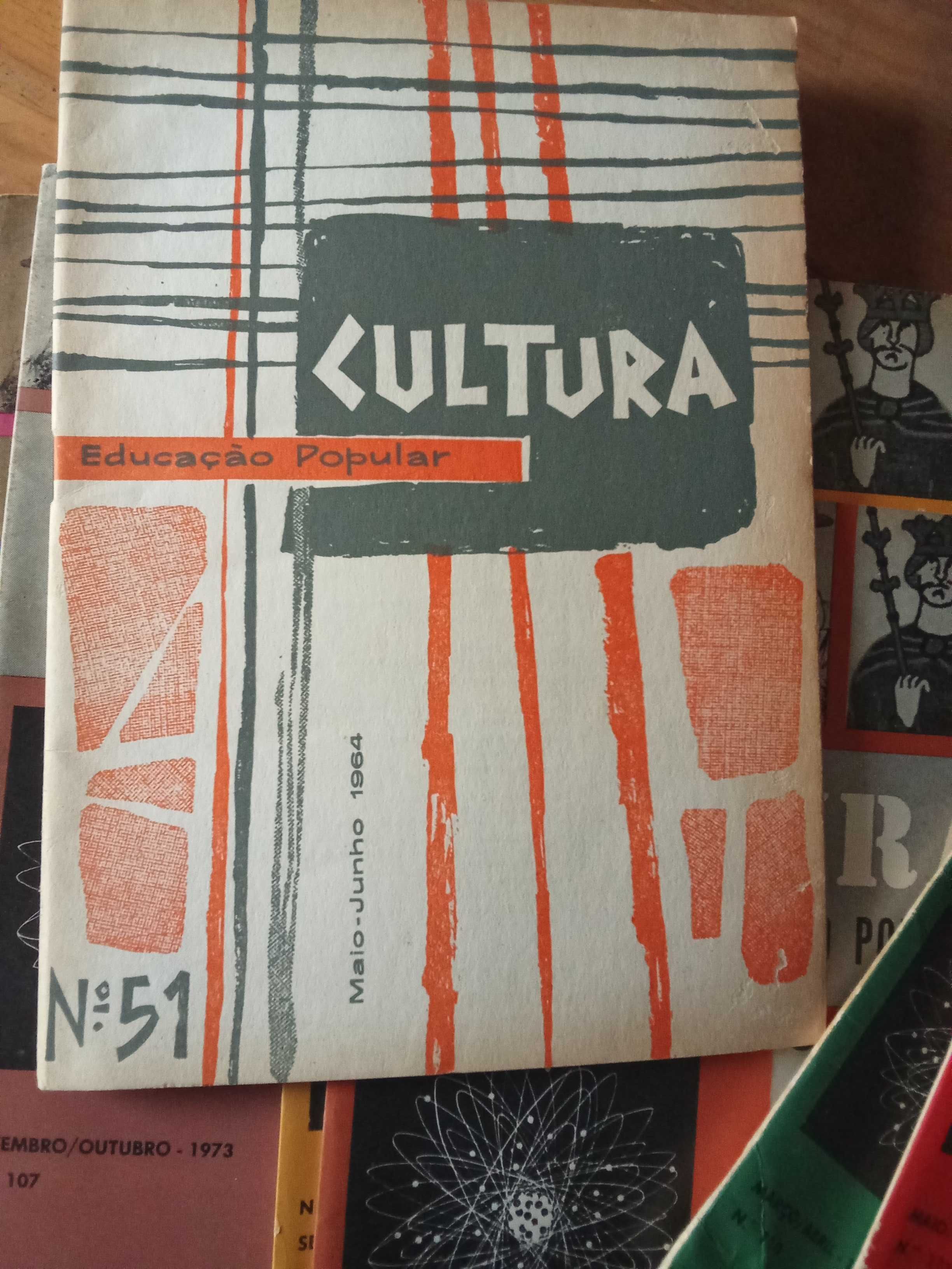 Cultura e educação popular anos de 1961 a 1975