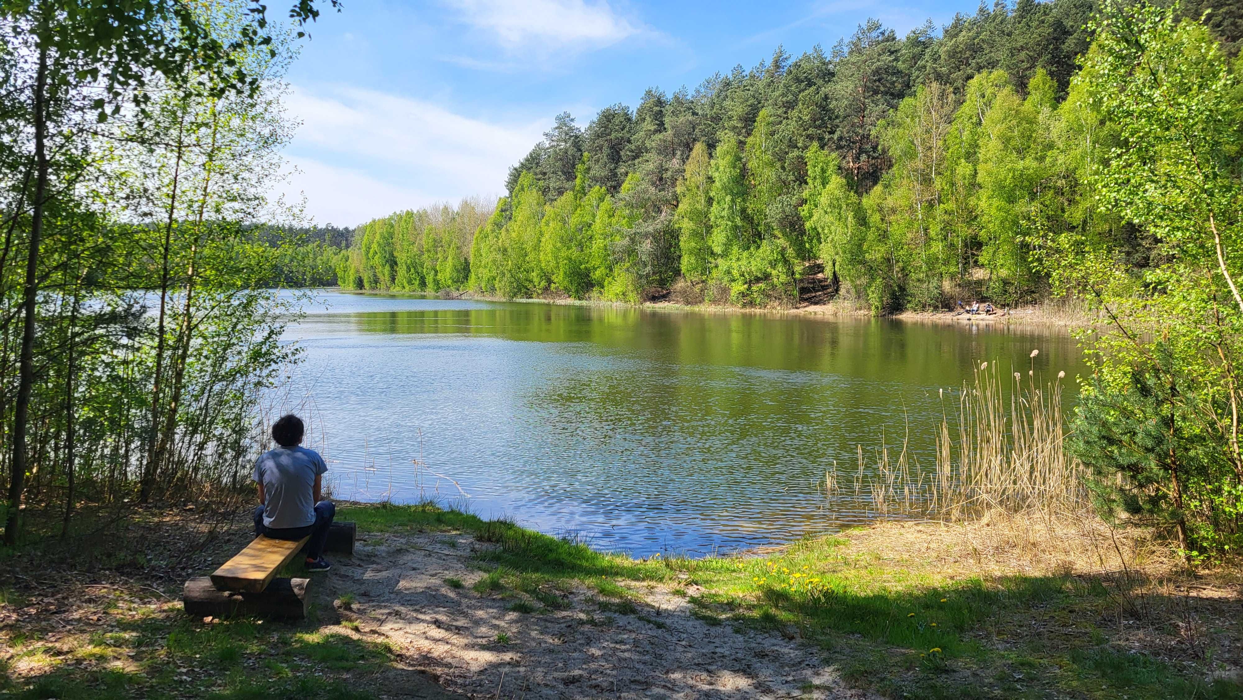 Nowy domek w prywatnym lesie nieopodal jeziora Warmia Mazury