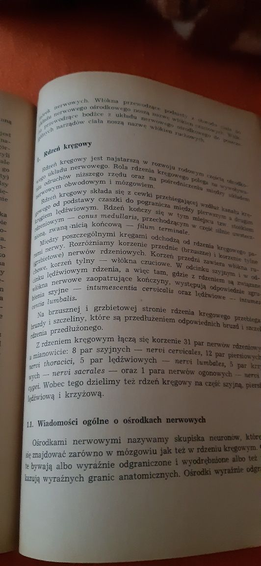 Zarys Anatomii Funkconalnej Człowieka  dla studentów biologii