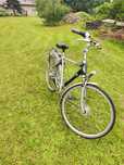 Rower Gazelle laguna Holenderski