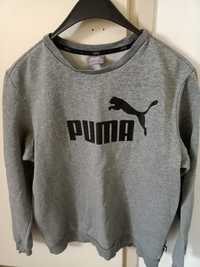 Bluza męska Puma