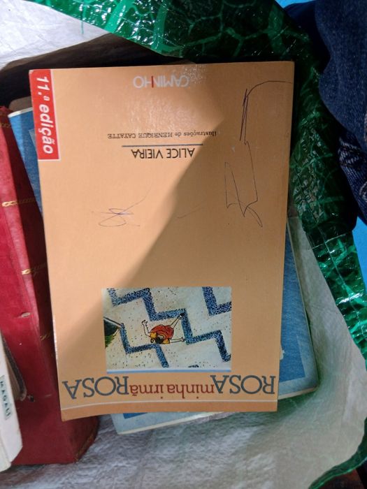 Alice Vieira, Rosa minha irmã Rosa