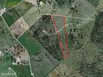 Terreno com 7,5 ha com montado de sobro, com viabilidade de constru...