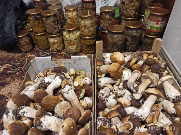 Маринованные грибы: польские, белые, козляки, мариновані гриби