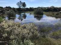 Quinta com 4 Hectares