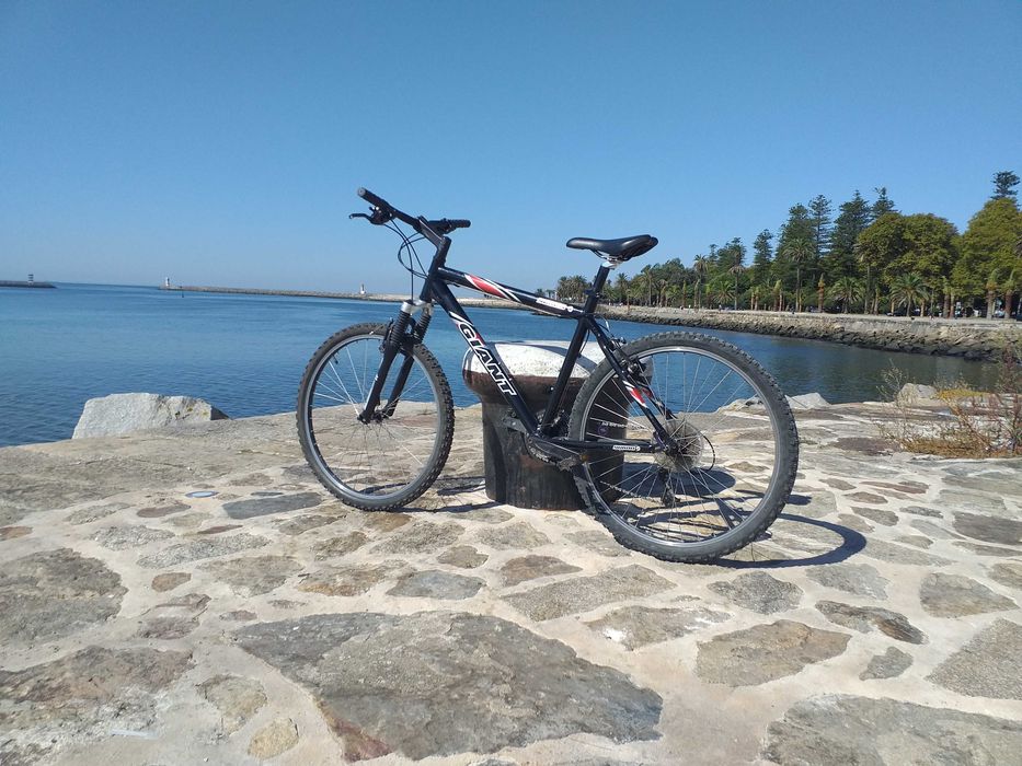 Bicicleta Giant MTB Alumínio