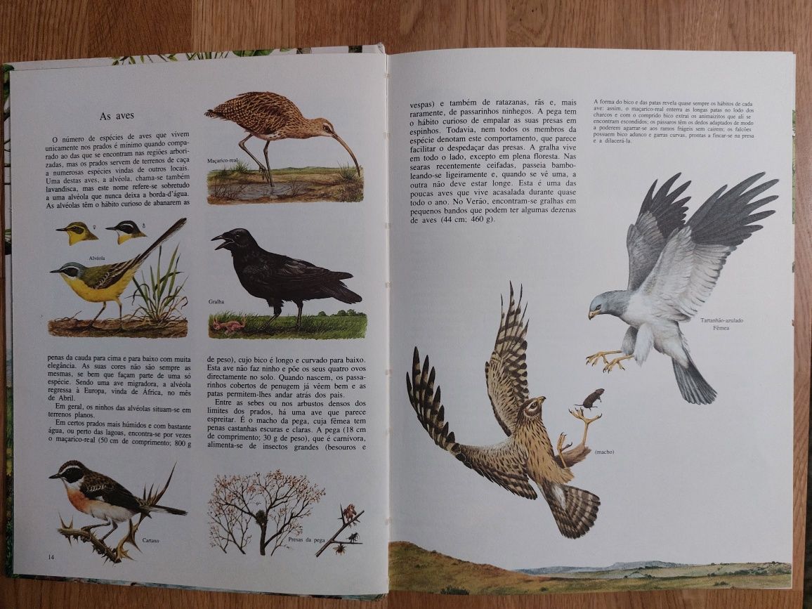 Livro Animais e Plantas de todo o Mundo