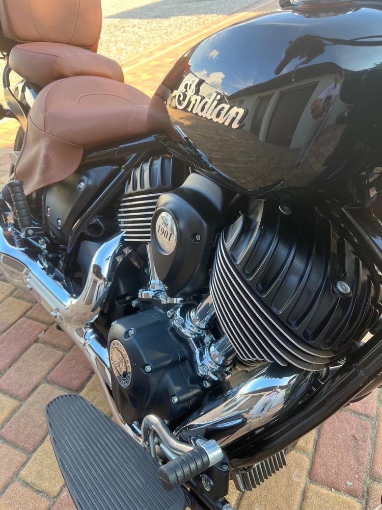 Indian chief dark horse