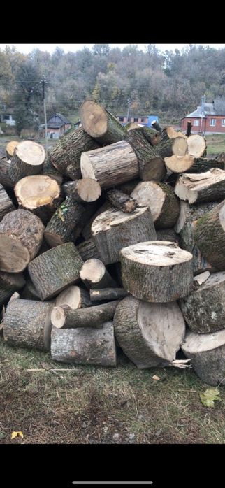 Продам Дрова Твердих порід