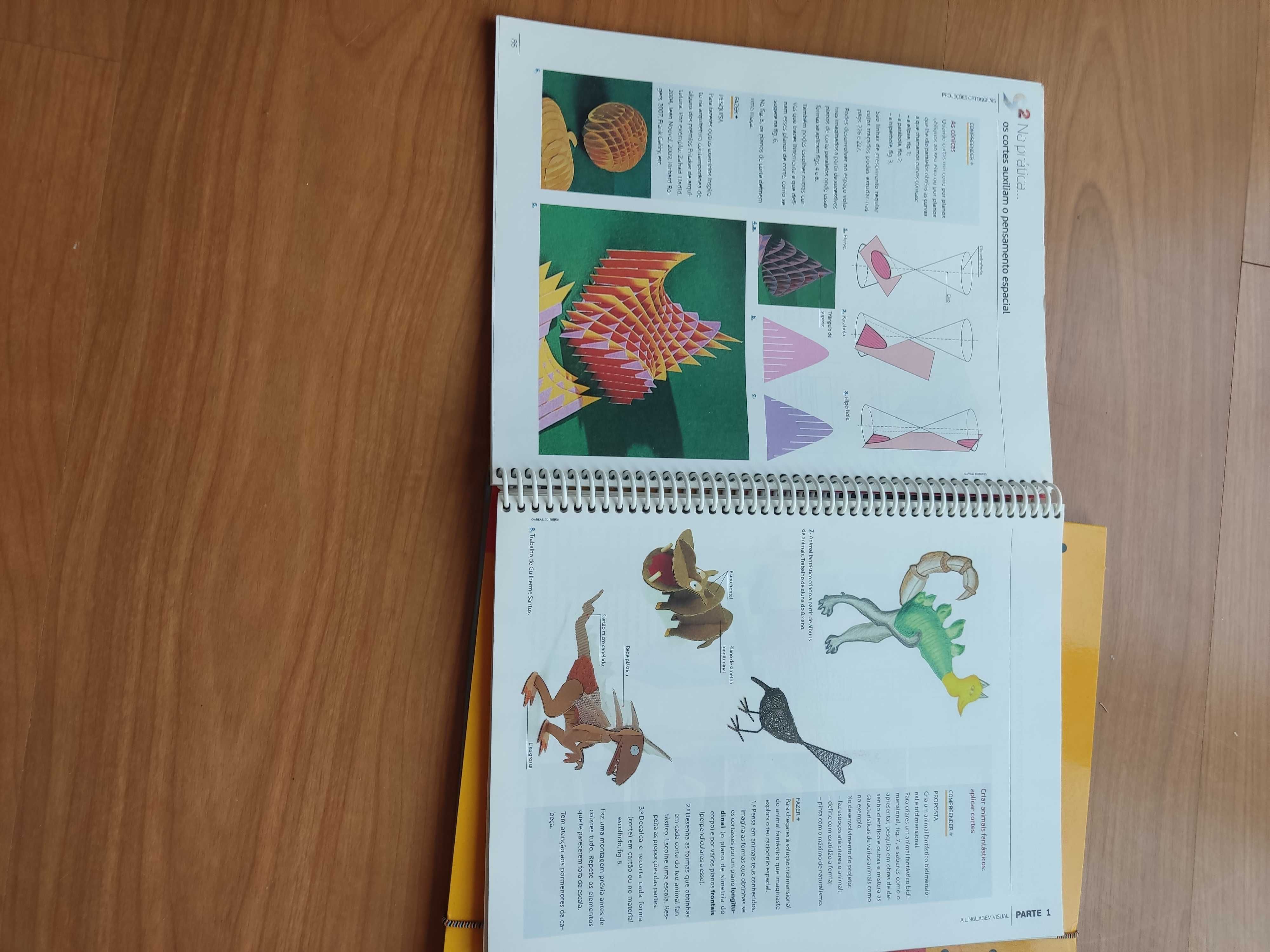 Livro de Educação Visual Novo