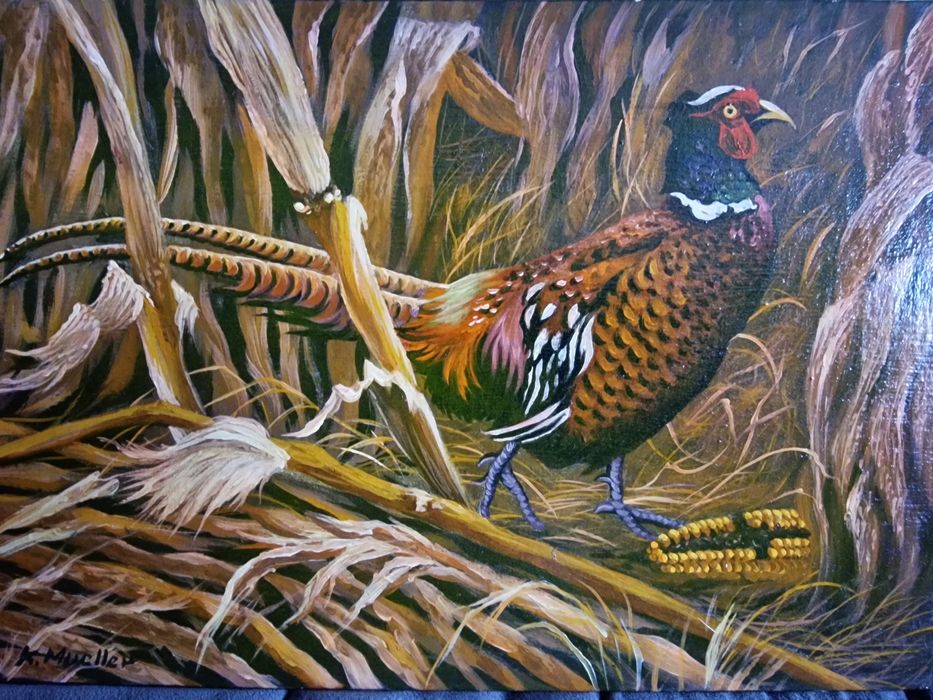 Obraz olejny na płótnie bażant