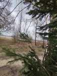 Продаж ділянки в Ворошилівці вихід до Бугу.