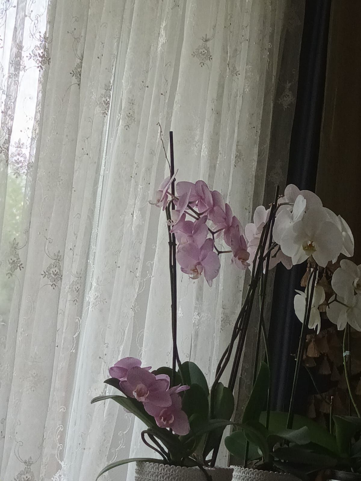 Pokój do wynajęcia w domu