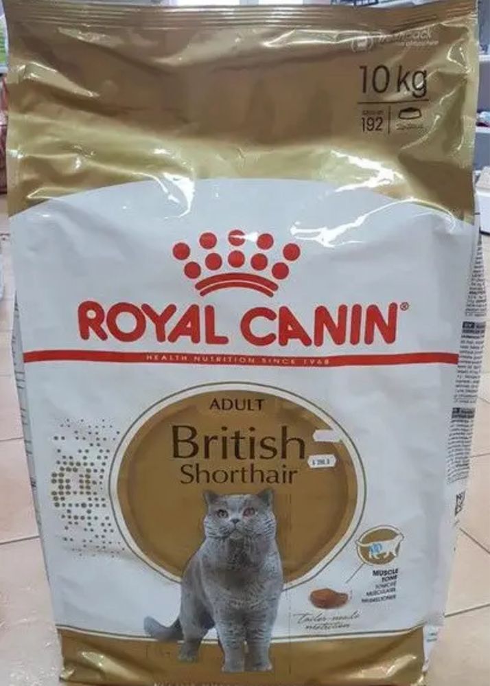 ROYAL CANIN British Shorthair Adult 10 kg
