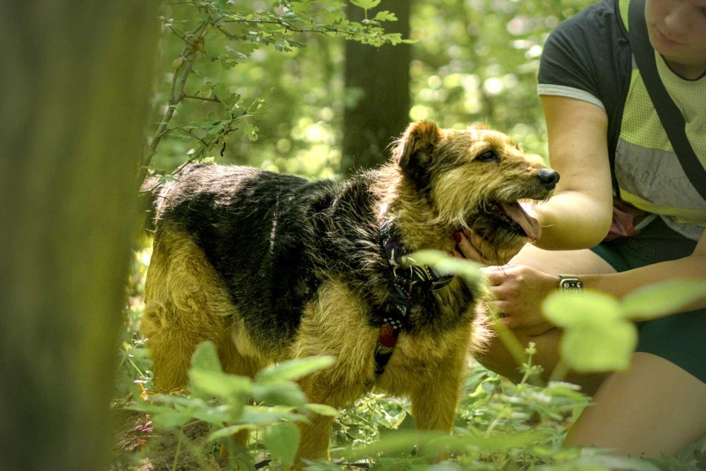 Bambosz-szuka swojego miejsca :)