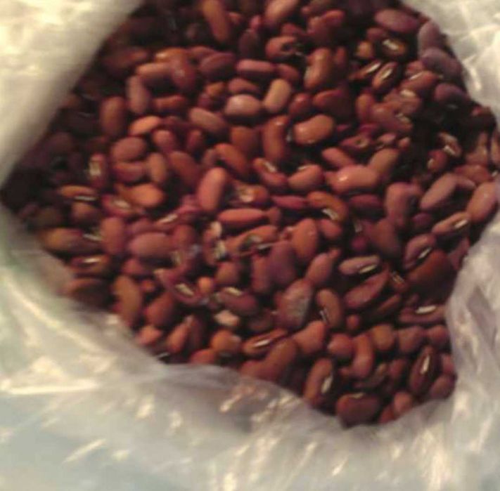 Feijão Catarino, branco, vermelho, frade, preto, manteiga.