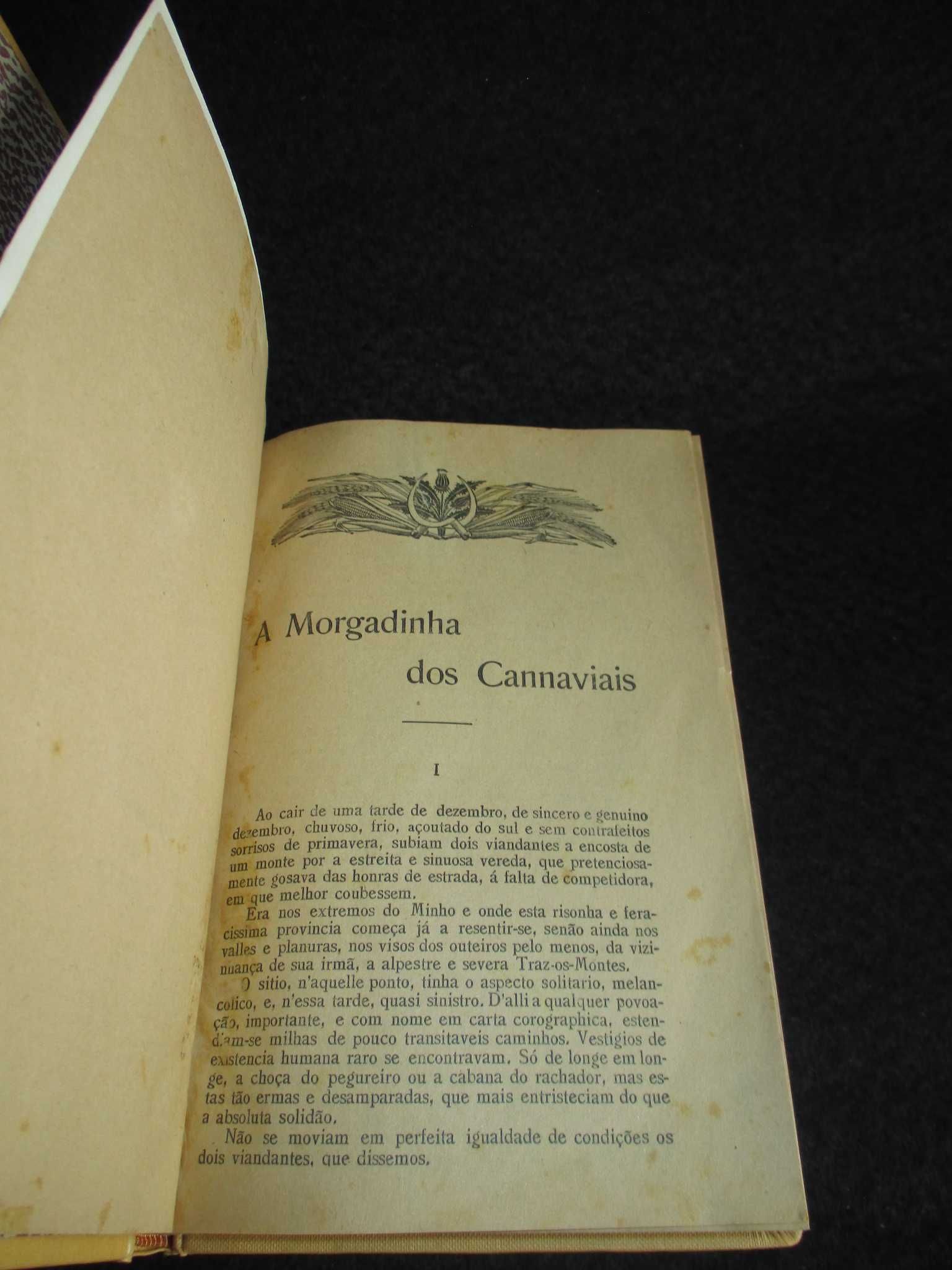 Livro A Morgadinha dos Canaviais Júlio Dinis Ilustrado