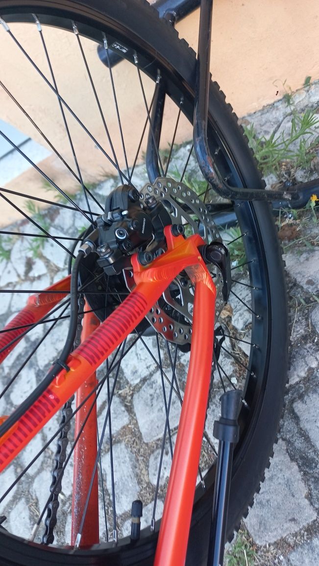 Bicicleta Coluer roda 24