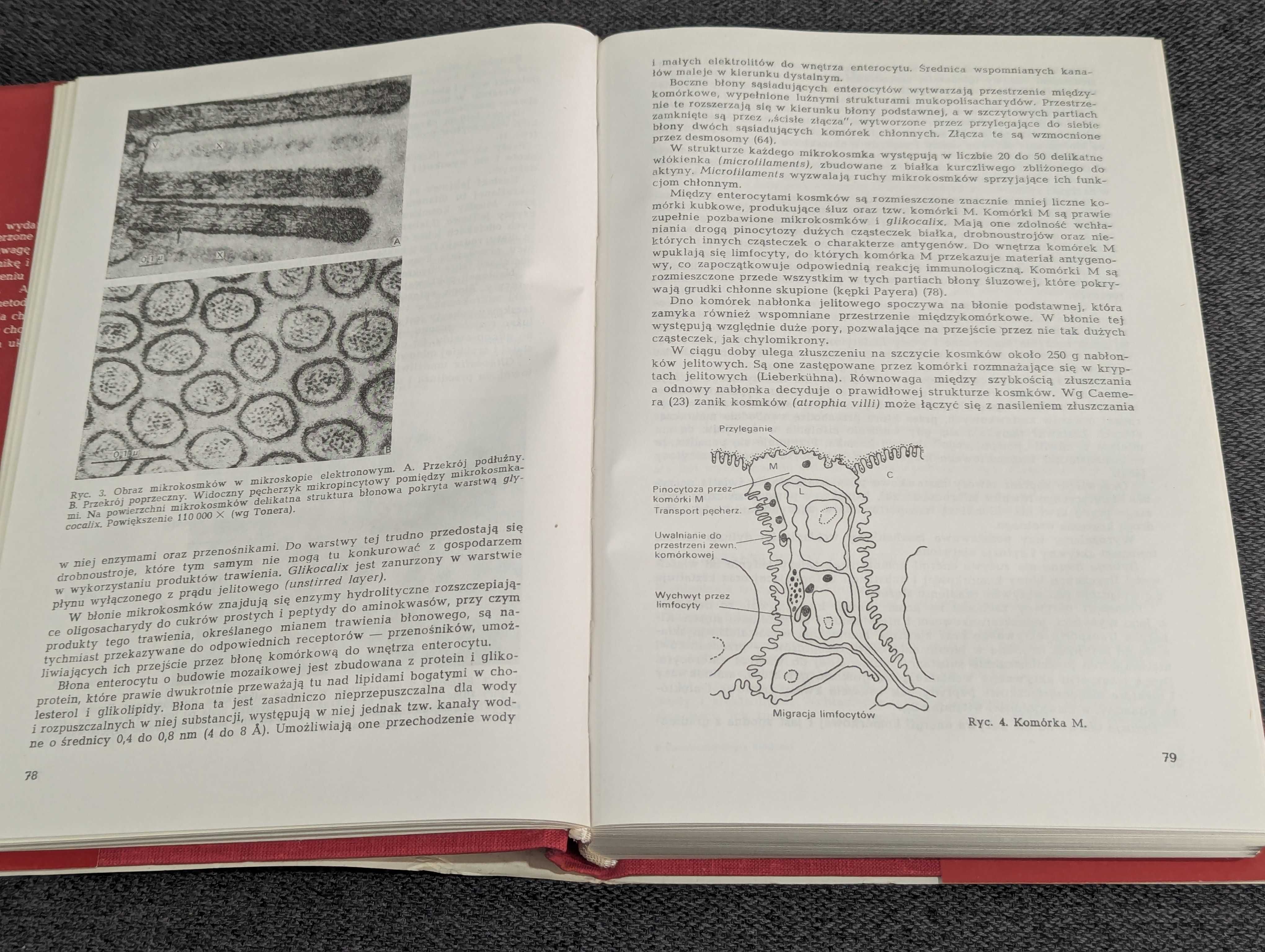 Gastro-enterologia kliniczna Stanisław Konturek
