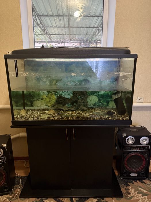 Аквариум 200л с тумбой