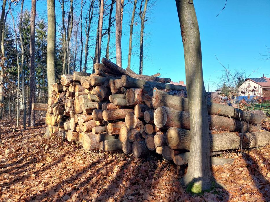 Sprzedam drewno na opał mieszane