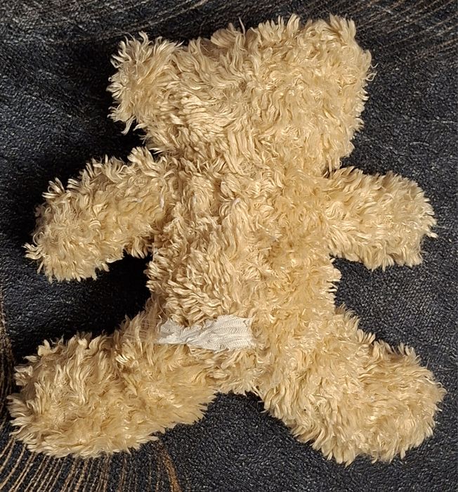 Maskotka, pluszak miś