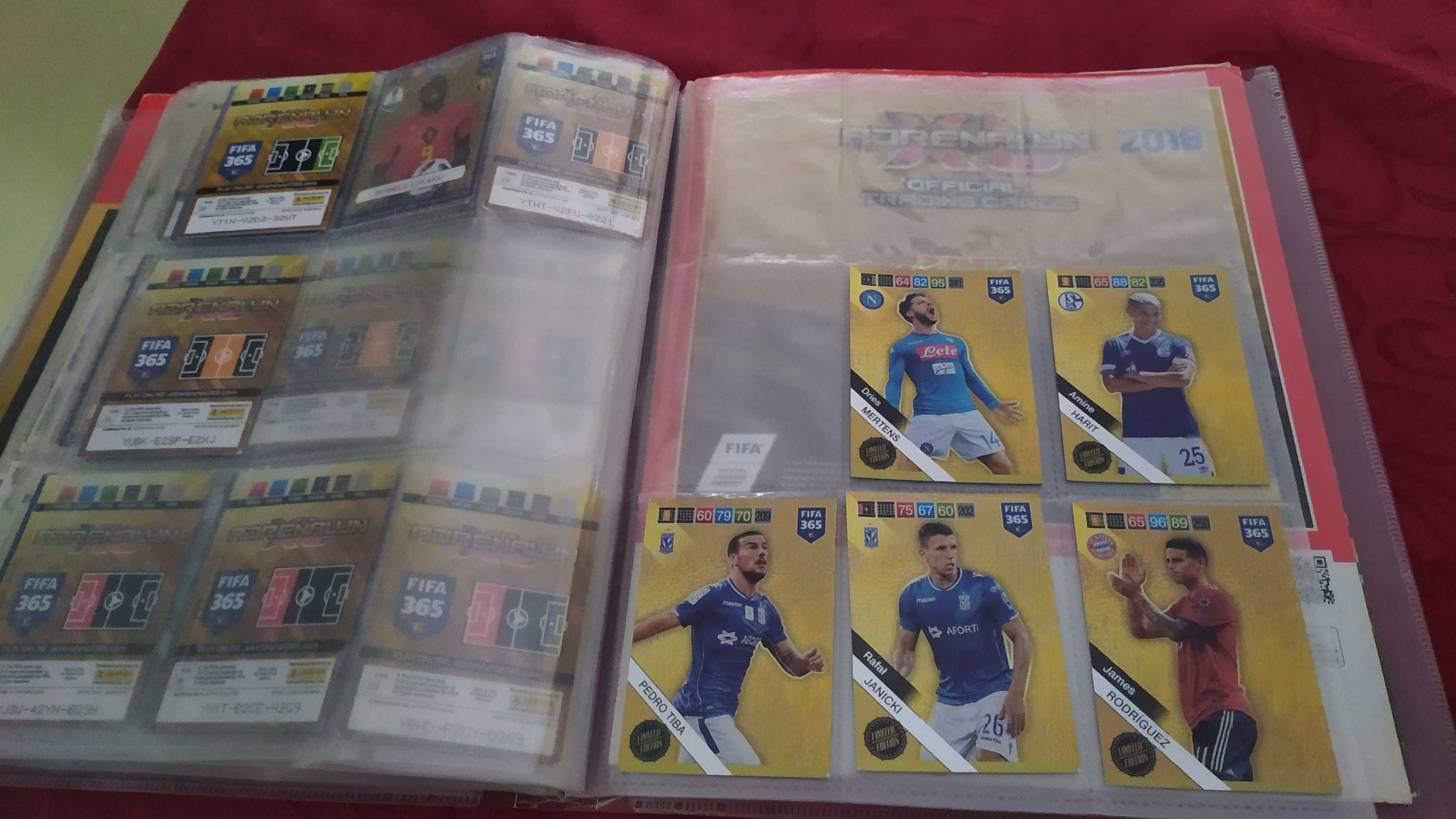 Katalog FIFA 365 Legendy; wszystkie karty z moich ogłoszeń za 250zł
