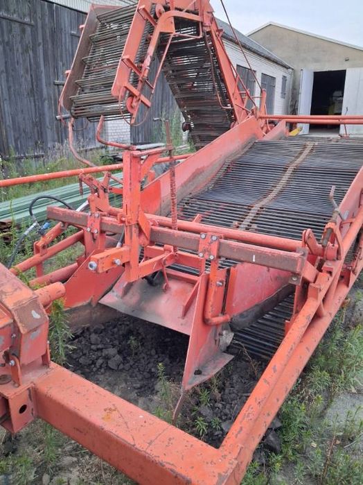 Kombajn do zbioru cebuli, buraczków czerwonych AMAC D2