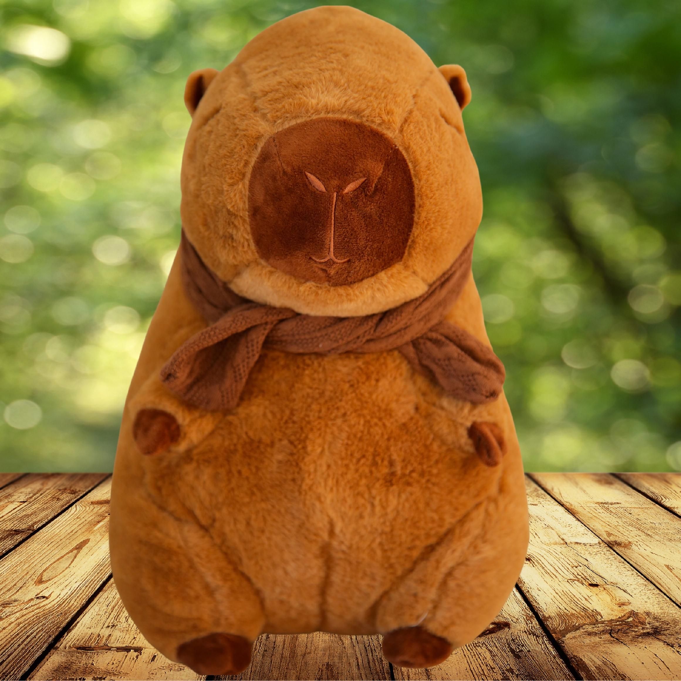 Kapibara Z Kocykiem Kocyk Maskotka Przytulanka Poduszka Kocyk 45 Cm
