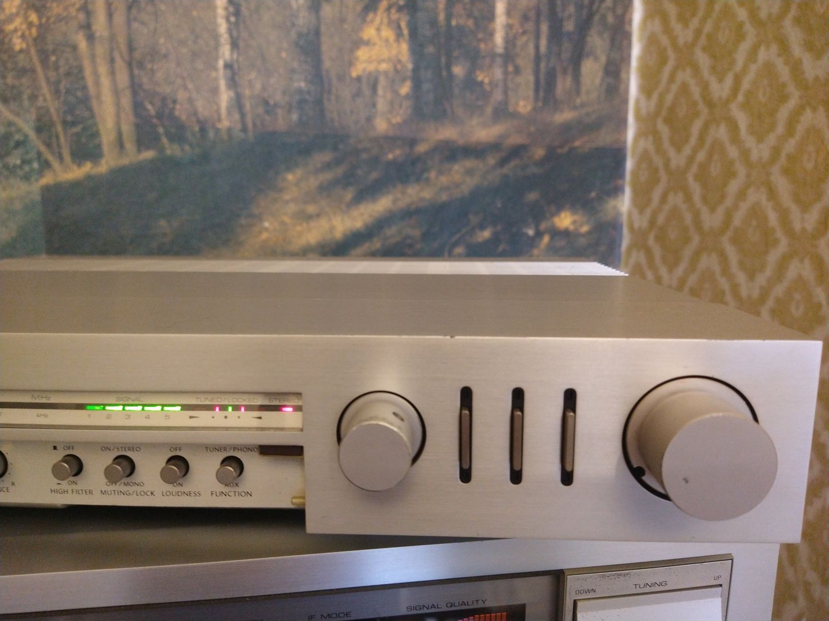 Onkyo tx20 amplituner