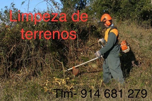 Limpeza de terrenos