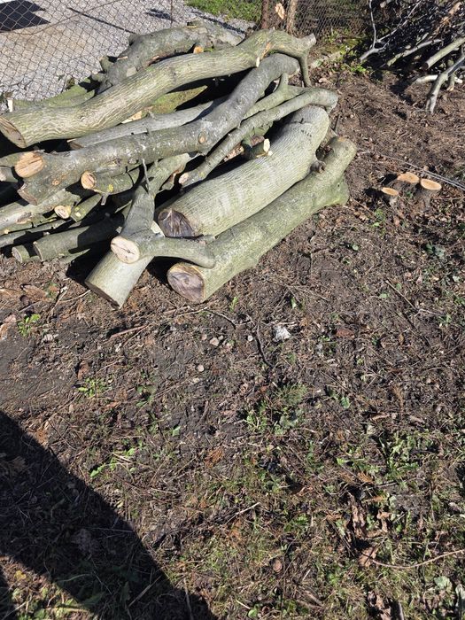 Oddam drewno opałowe