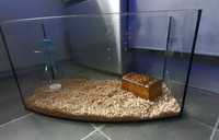 Akwarium klatka dla myszki / chomika 60x33cm + wyposazenie trociny