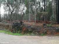 Terreno  para venda